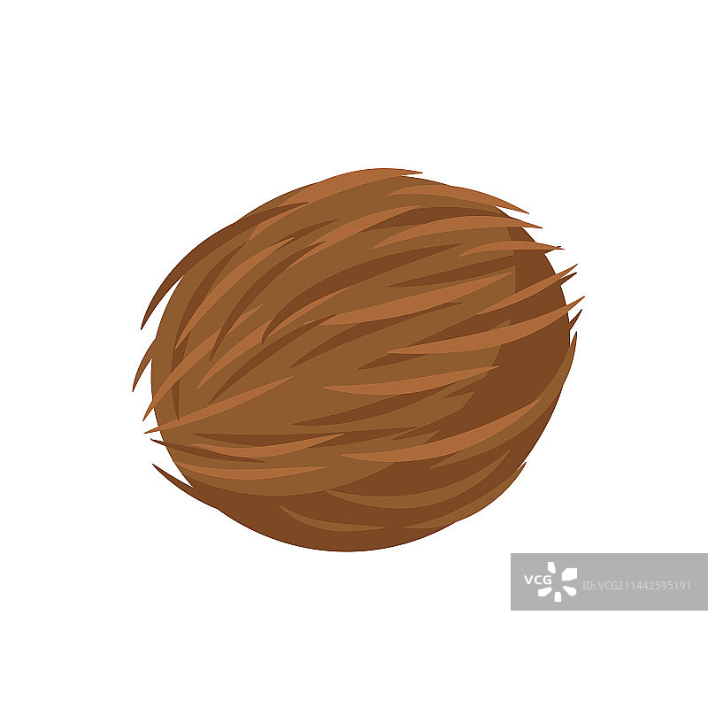 白色背景上的椰子图标图片素材