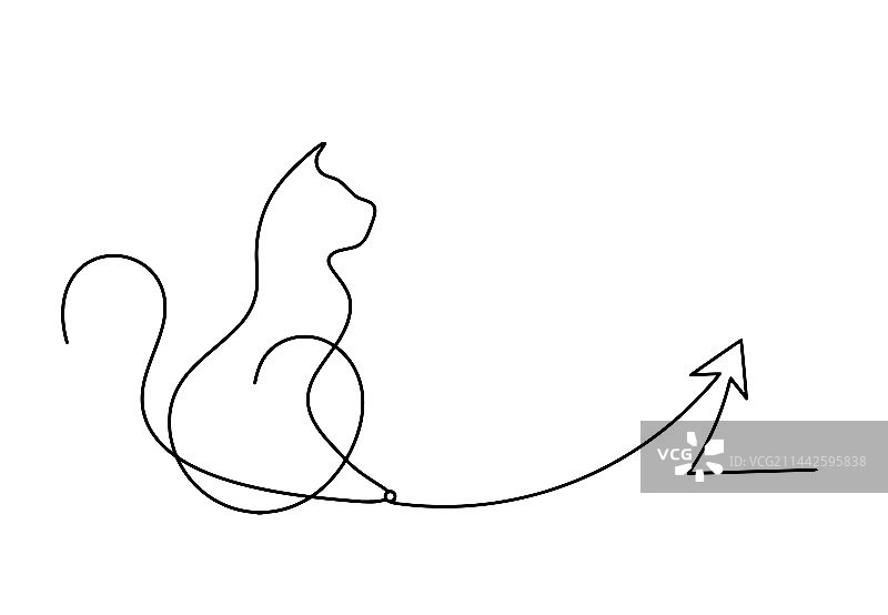 抽象猫剪影与线条方向图片素材