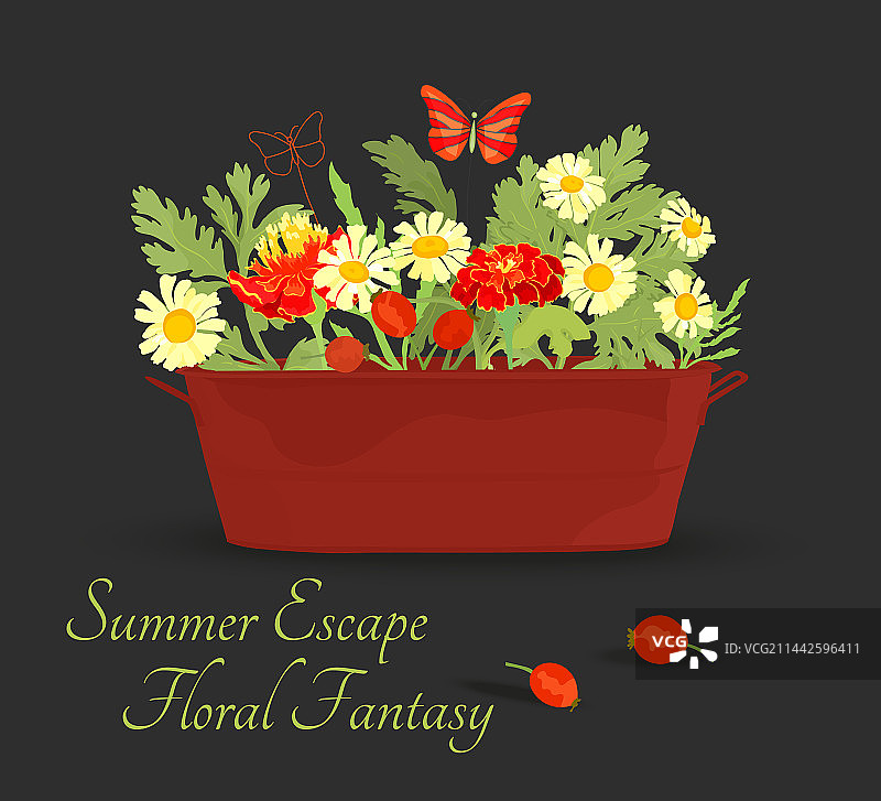 色彩鲜艳生动的花卉构图图片素材