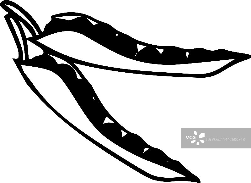 豌豆种子图标图片素材