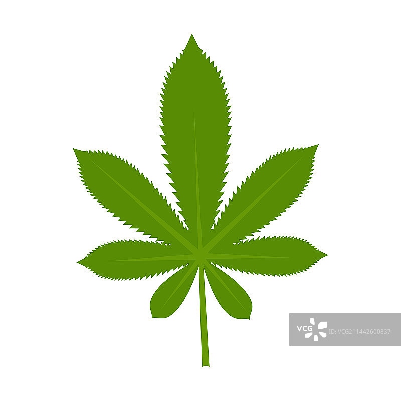 大麻叶图标绿色医疗植物图片素材