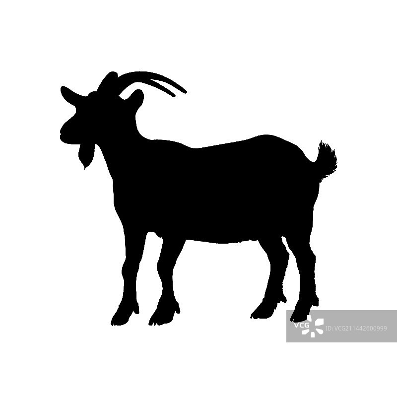 白色背景上的山羊轮廓图片素材