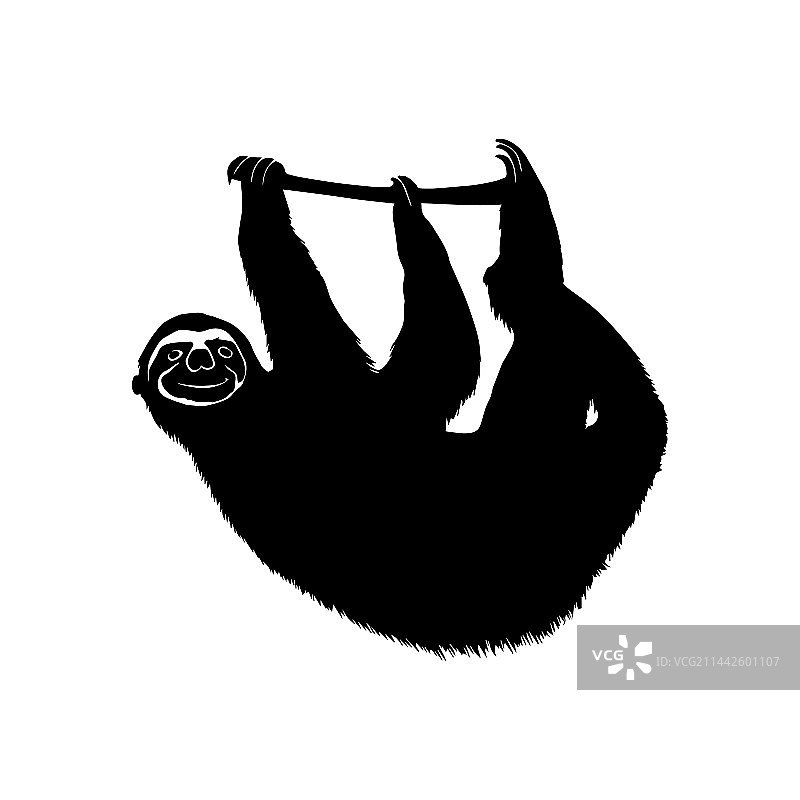 白色背景上的树枝树懒剪影图片素材