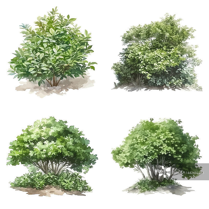 灌木丛水彩元素特写图片素材