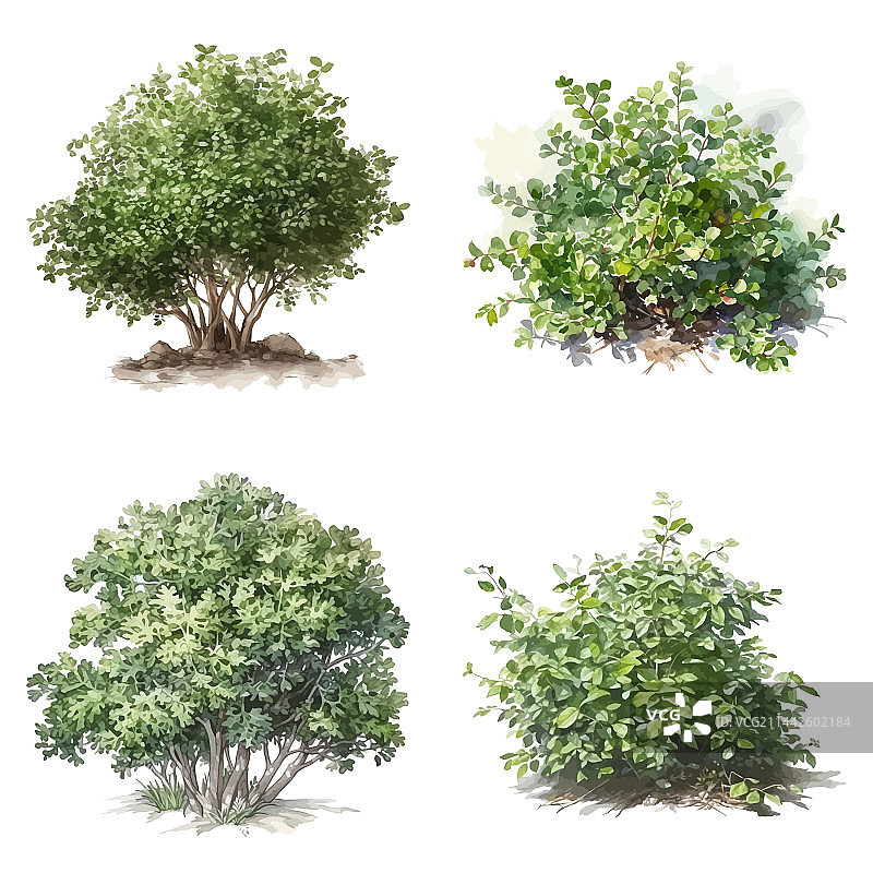 灌木丛水彩元素特写图片素材