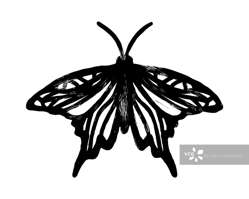 亚麻切割蝴蝶轮廓图片素材