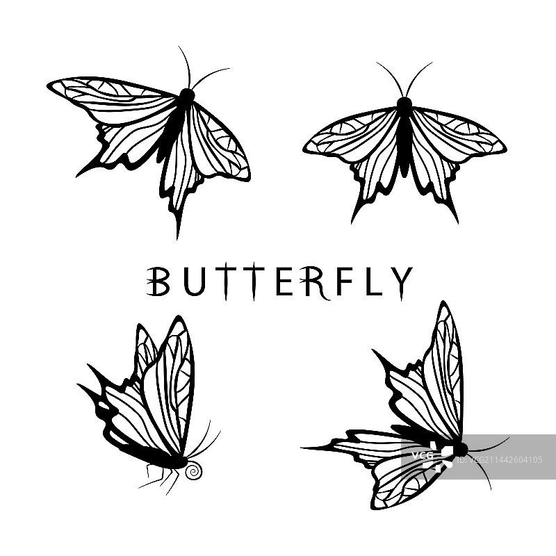 蝴蝶纹身图案图片素材