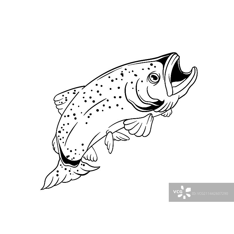 手绘鳟鱼轮廓图片素材