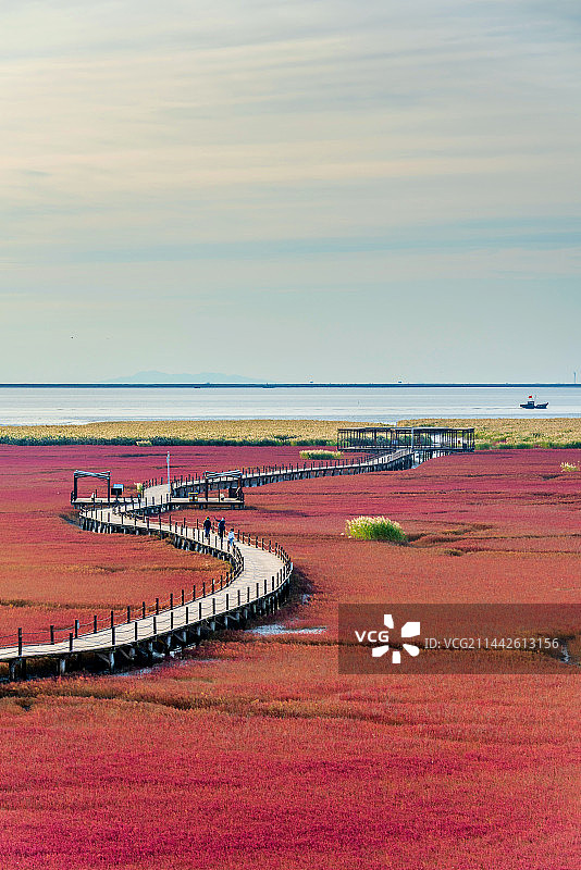 中国辽宁盘锦红海滩国家风景廊道图片素材