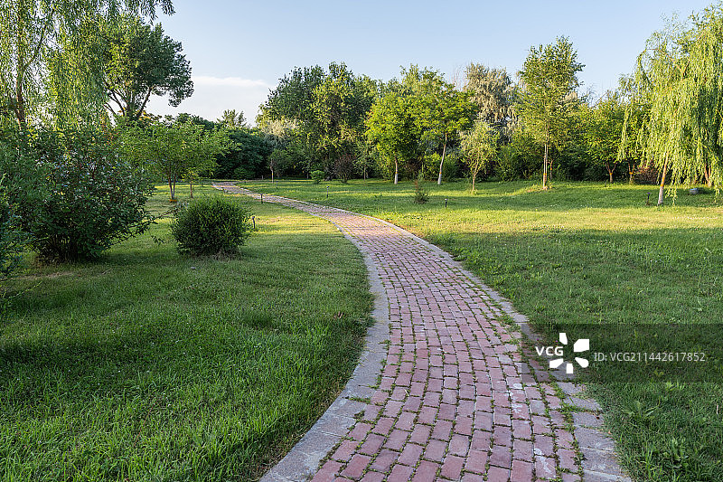 阳光下的公园步道图片素材