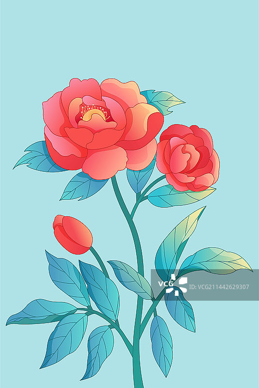 盛开的牡丹芍药矢量插画图片素材