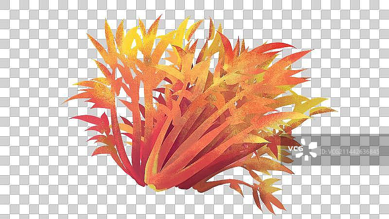 一把新鲜的香椿芽图片素材