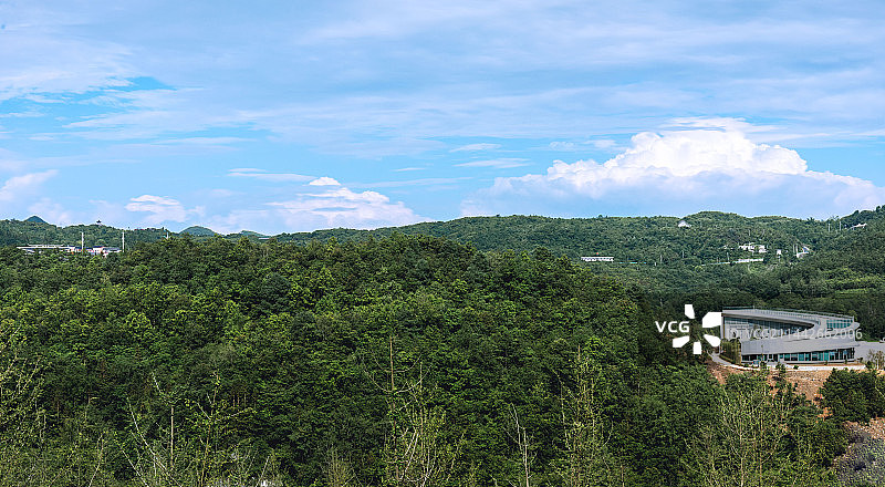 夏日里的贵州毕节百里杜鹃图片素材