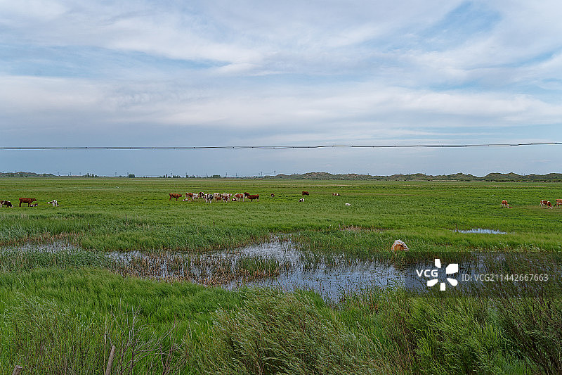 浑善达克 高格斯台河风貌图片素材