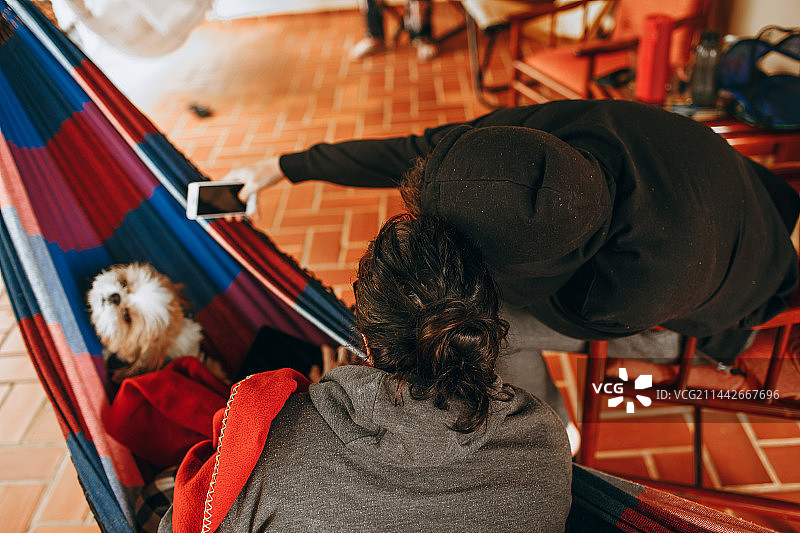 情侣在贝洛奥里藏特米纳斯吉拉斯州家中的吊床上放松身心，旁边有一只小宠物狗图片素材