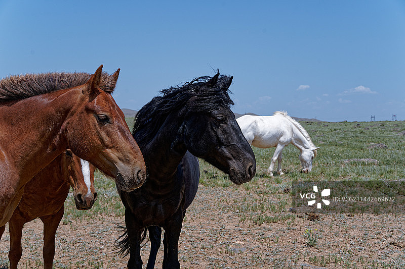 林西县 热水塘 锡林浩特6月风貌 +银河图片素材