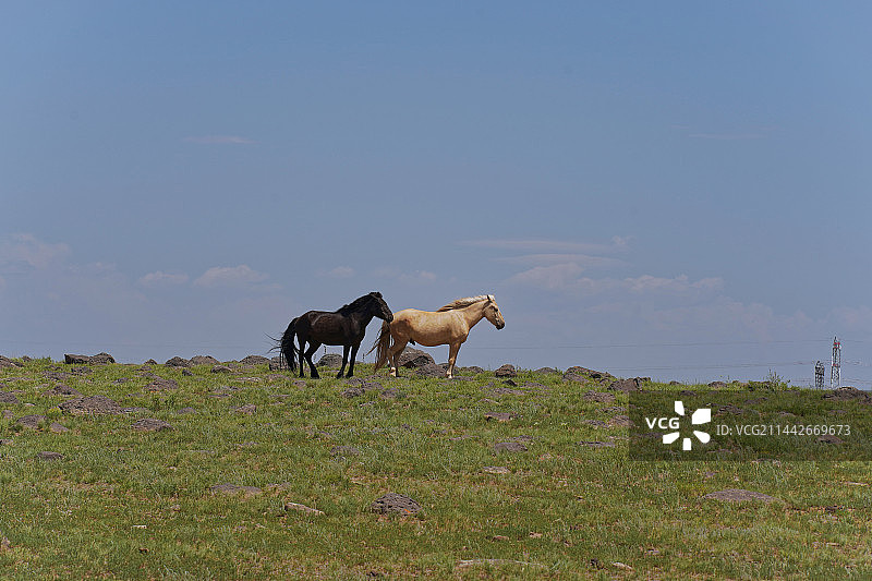林西县 热水塘 锡林浩特6月风貌 +银河图片素材