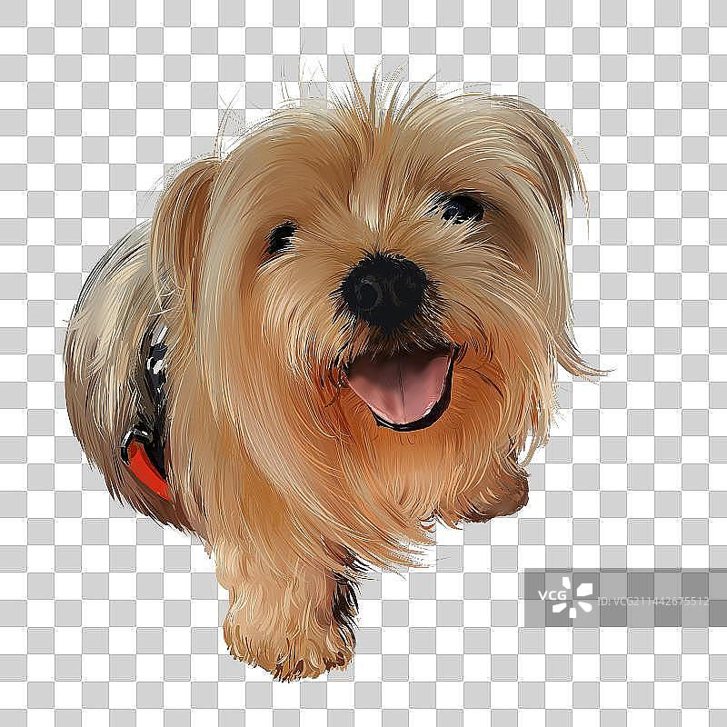 写实狗狗图片素材