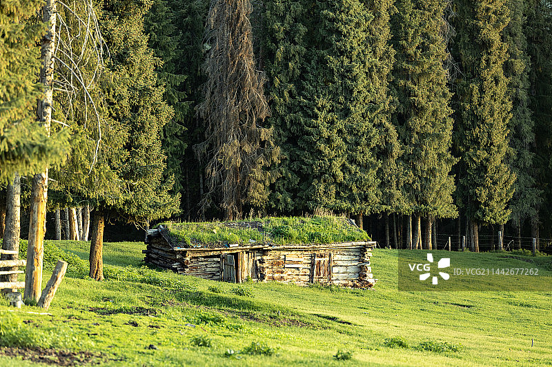 晨光下的木屋图片素材