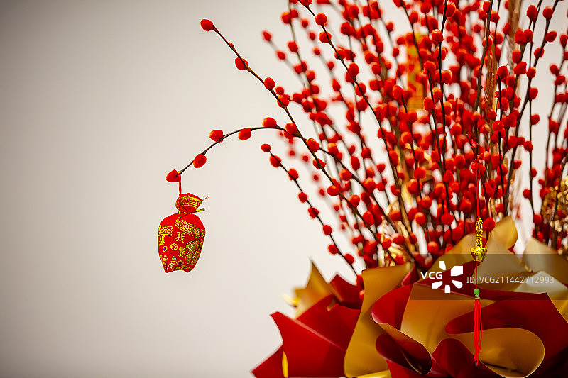 南京玄武湖里的银柳图片素材