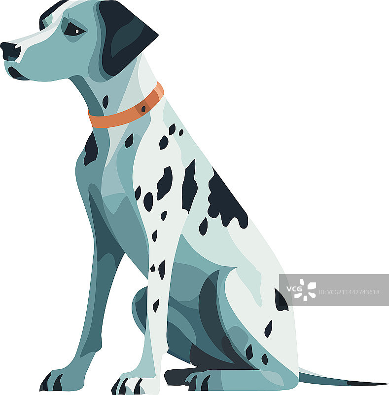 纯种犬坐姿图片素材