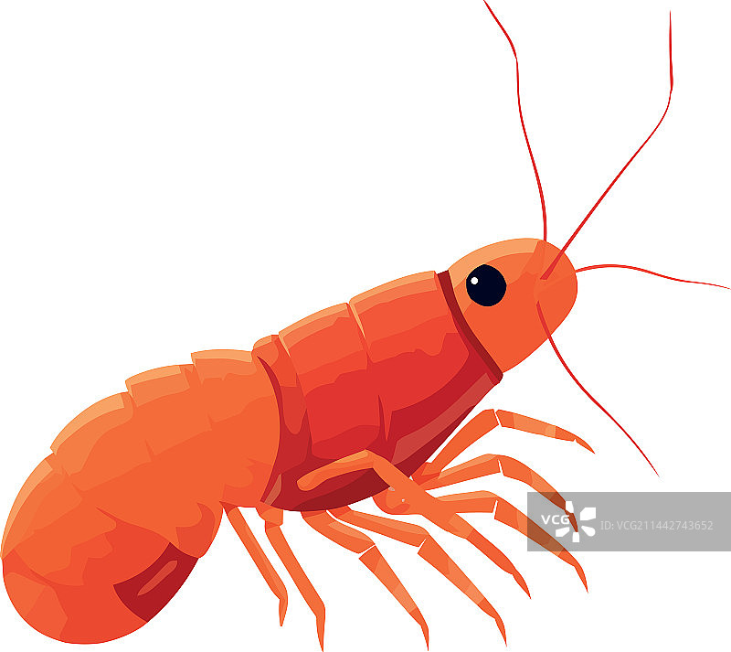 水下虾设计图片素材