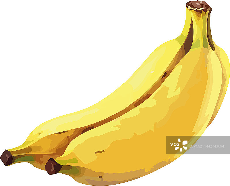 成熟香蕉设计图片素材