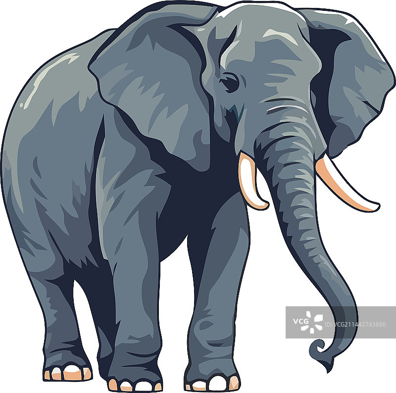 站立的大象图片素材