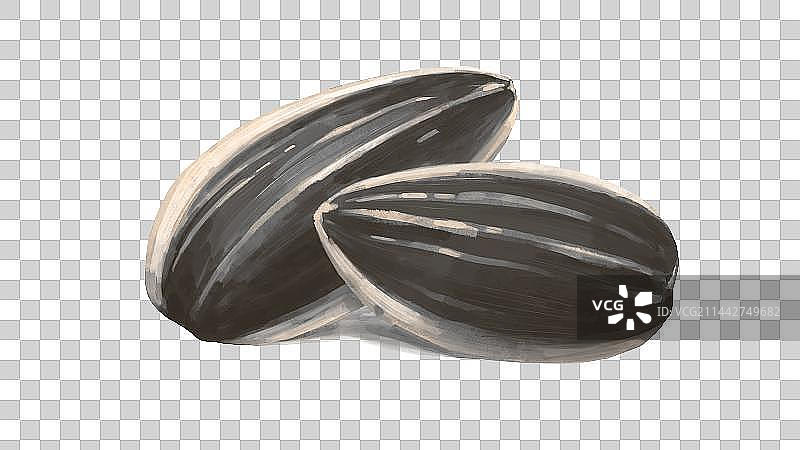 两颗成熟的向日葵籽瓜子图片素材