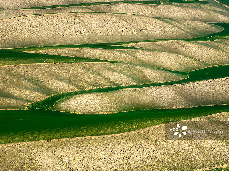 特克斯荒瘠草原图片素材