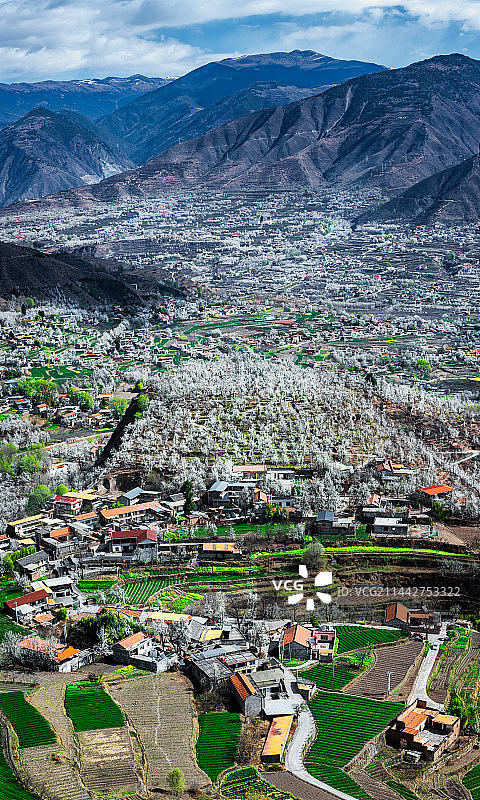 金川万亩梨花开7图片素材