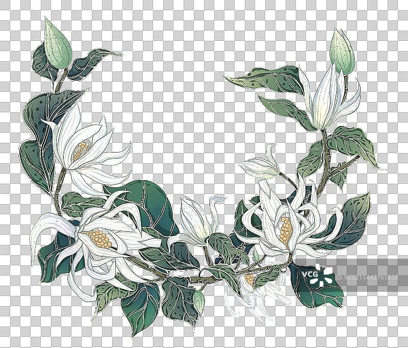 适用于花香类商品的白兰花图片素材