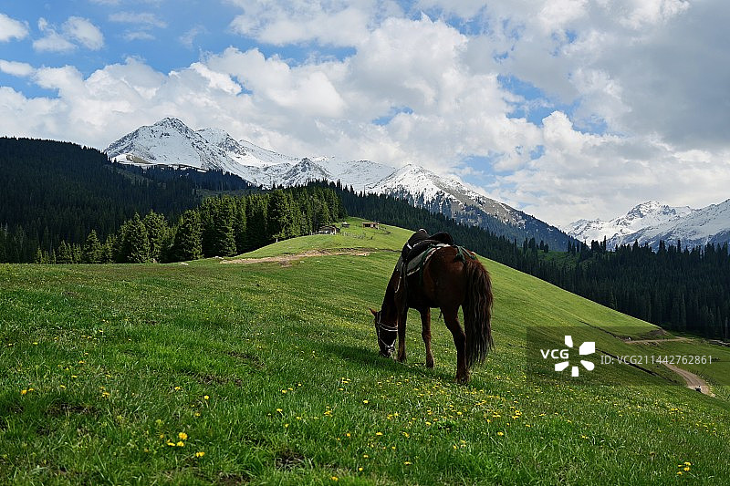 5月底的琼库什台图片素材