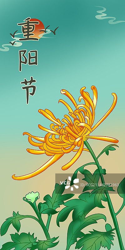 重阳节节日插画模板图片素材