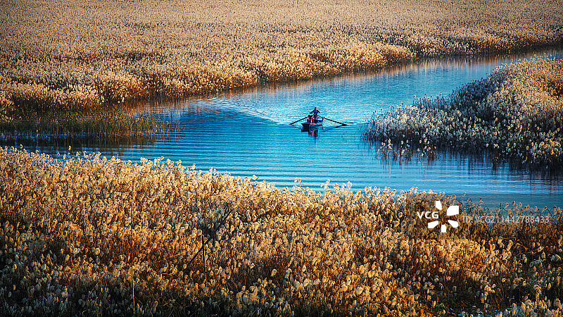 咸宁市通山县芦苇荡风景图片素材