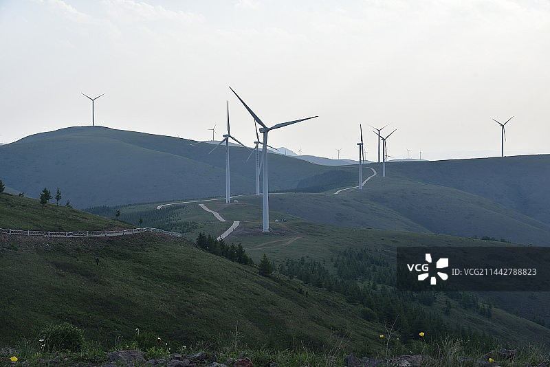 承德丰宁千松坝国家森林公园天路图片素材