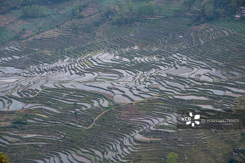 云南省红河县宝华乡撒玛坝梯田风光图片素材