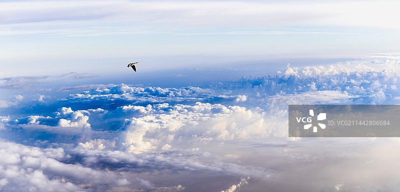 大鹏一日同风起，扶摇直上九万里图片素材