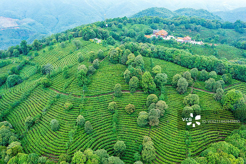 云南省玉溪市峨山县云茶山庄图片素材