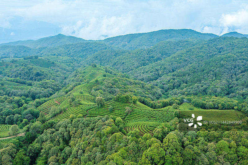 云南省玉溪市峨山县云茶山庄图片素材