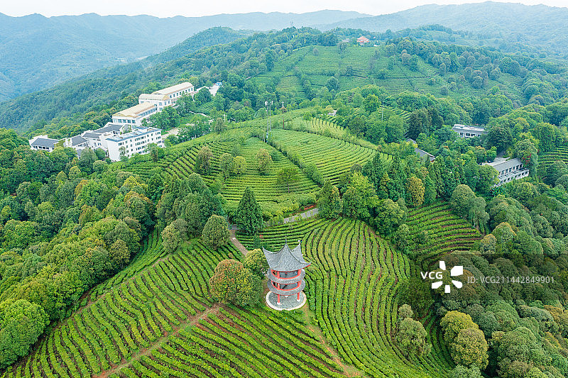 云南省玉溪市峨山县云茶山庄图片素材