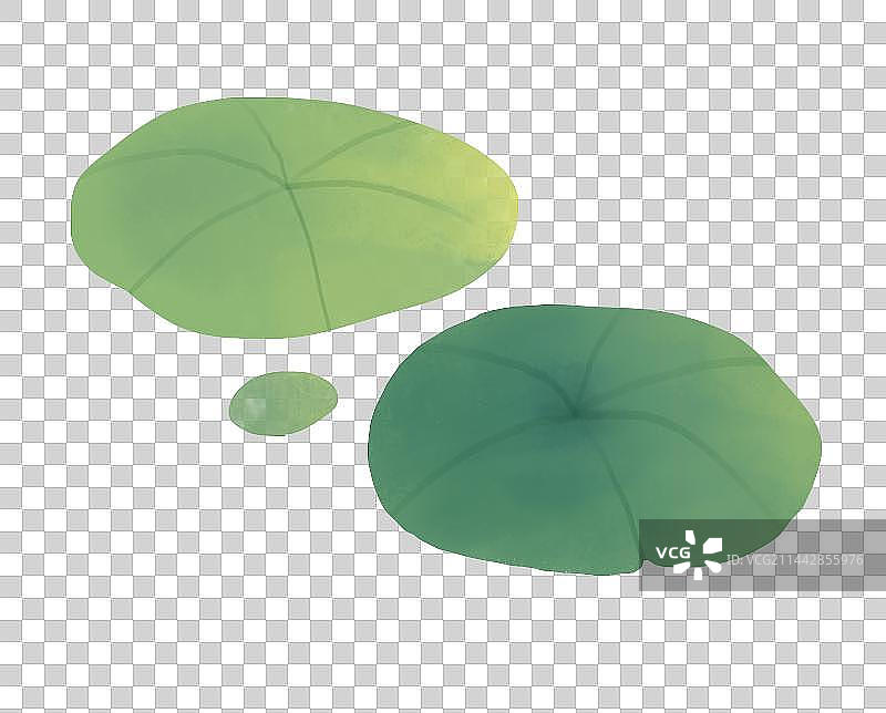 夏天节气插画元素池塘里盛开的黄金莲浮萍图片素材