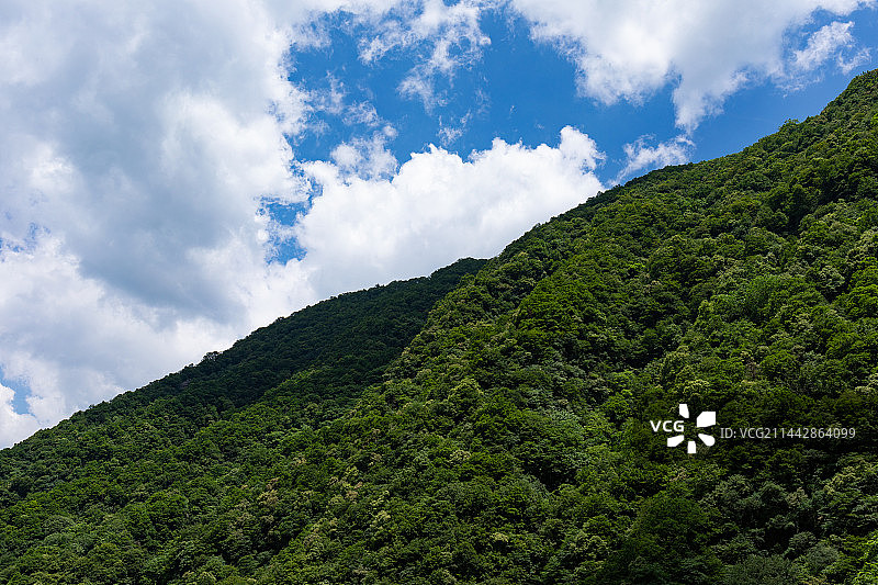 陕西秦岭太平国家森林公园景观蓝天白云森林山峰图片素材