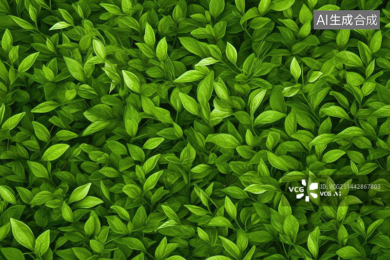 【AI数字艺术】无缝茶叶绿叶图案背景图片素材