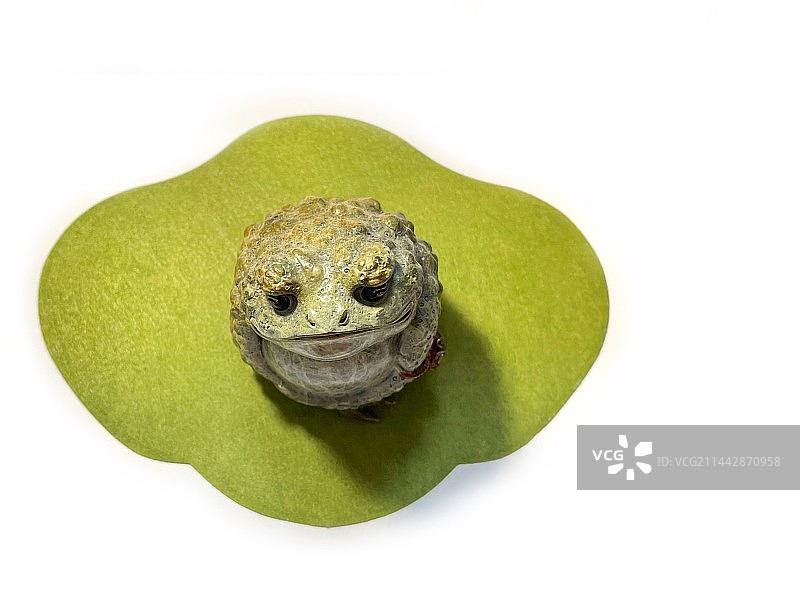 荷与金蟾图片素材