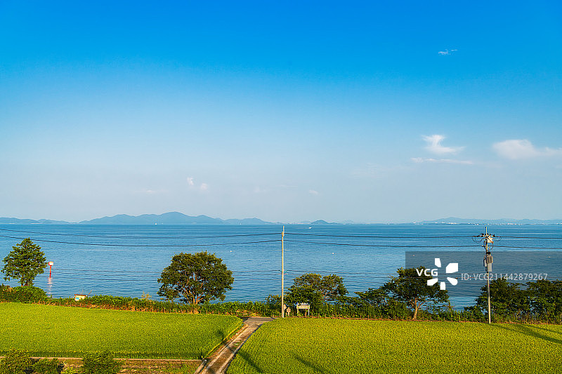 日本京都滋贺县高岛市琵琶湖畔夏季户外风光高视角图片素材