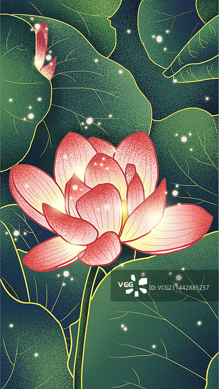 国潮风荷花图片素材