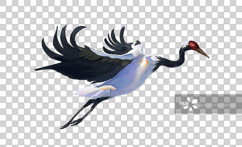 飞翔的仙鹤图片素材