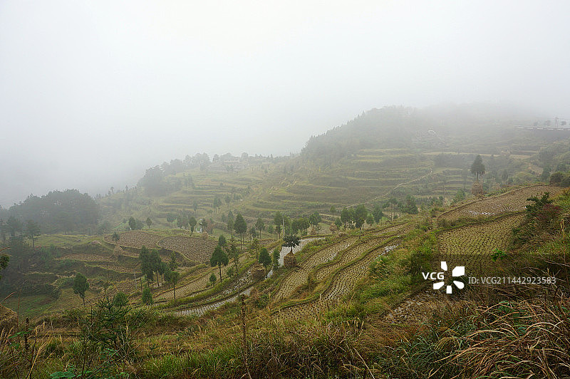 楠溪江图片素材