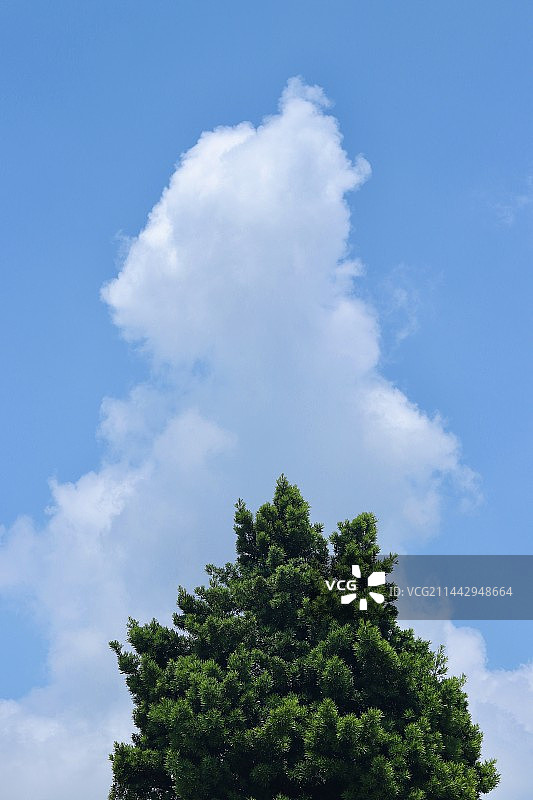 蓝天白云图片素材